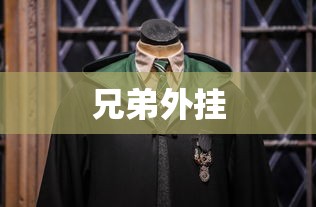 兄弟外挂