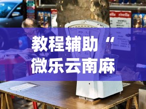 教程辅助“微乐云南麻将开挂神器下载”(详细透视教程)-知乎