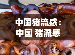 中国猪流感：中国 猪流感