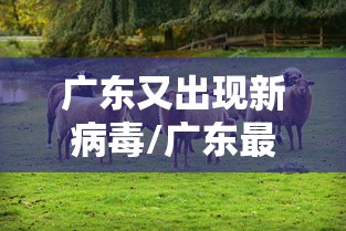 广东又出现新病毒/广东最新病毒叫什么名字