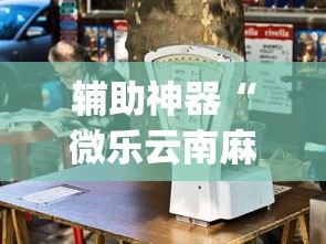 辅助神器“微乐云南麻将开挂免费下载安装(透视)”开挂(透视)辅助教程