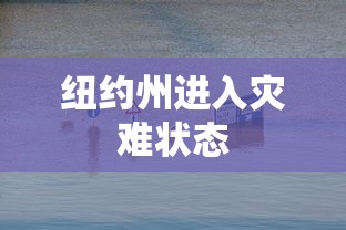 纽约州进入灾难状态