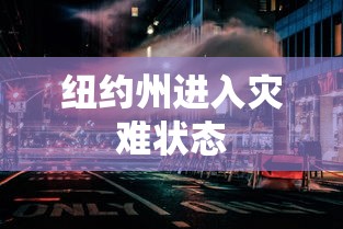 纽约州进入灾难状态