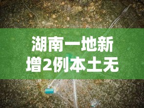 湖南一地新增2例本土无症状轨迹公布：湖南新增1例新冠肺炎无症状感染者