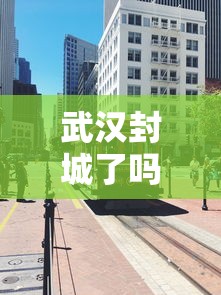 武汉封城了吗
