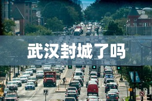 武汉封城了吗
