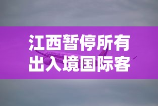 江西暂停所有出入境国际客运航班(江西境外) 江西暂停所有出入境国际客运航班(江西境外)