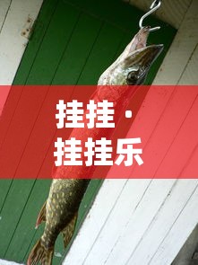 挂挂 · 挂挂乐图片