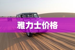 雅力士价格 雅力士价格