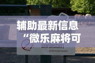 辅助最新信息“微乐麻将可不可以开挂”附透视挂详细教程