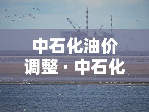 中石化油价调整 · 中石化油价调整日历表