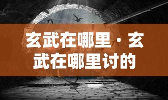 玄武在哪里 · 玄武在哪里讨的封号
