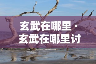 玄武在哪里 · 玄武在哪里讨的封号