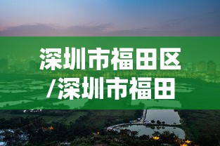 深圳市福田区/深圳市福田区人民法院