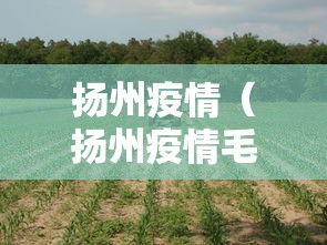 扬州疫情（扬州疫情毛老太是哪一年）
