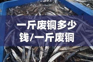 一斤废铜多少钱/一斤废铜多少钱今天