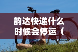 韵达快递什么时候会停运（韵达快递到什么时候停）