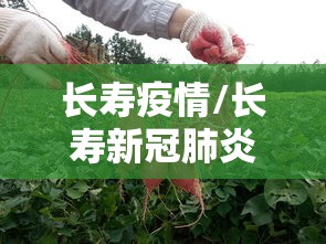 长寿疫情/长寿新冠肺炎疫情