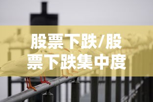 股票下跌/股票下跌集中度反倒上升为什么