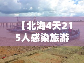 【北海4天215人感染旅游旺季急收尾 → 北海感染人数】