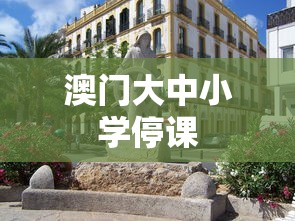澳门大中小学停课