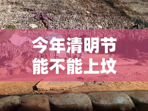 今年清明节能不能上坟