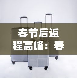 春节后返程高峰：春节后返程高峰安全提示
