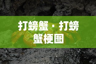 打螃蟹 · 打螃蟹梗图