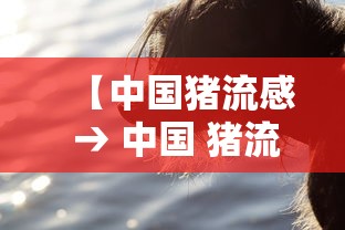 【中国猪流感 → 中国 猪流感】