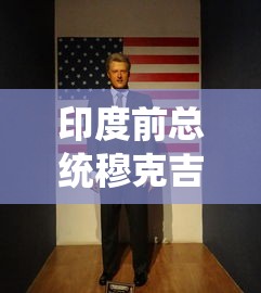 印度前总统穆克吉去世（印度穆迪总统老婆）