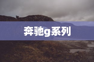 奔驰g系列