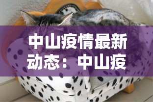 中山疫情最新动态:中山疫情权威发布最新消息 中山疫情最新动态:中山疫情权威发布最新消息
