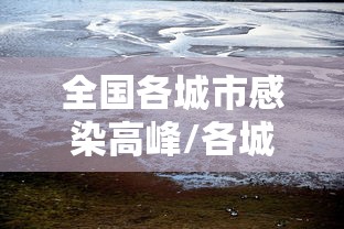 全国各城市感染高峰/各城市感染人数 全国各城市感染高峰/各城市感染人数