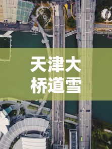 天津大桥道雪糕 · 天津大桥道雪糕价格表