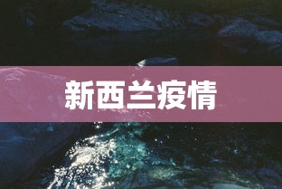 新西兰疫情