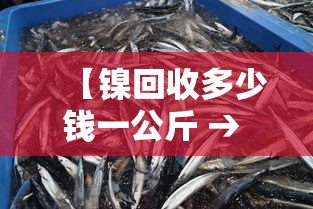 【镍回收多少钱一公斤 → 金属镍回收多少钱一公斤】