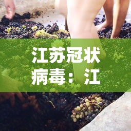 江苏冠状病毒:江苏新型冠状病毒病例 江苏冠状病毒:江苏新型冠状病毒病例