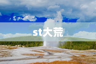 st大荒