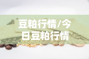 豆粕行情/今日豆粕行情