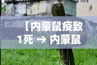【内蒙鼠疫致1死 → 内蒙鼠疫2021】 【内蒙鼠疫致1死 → 内蒙鼠疫2021】