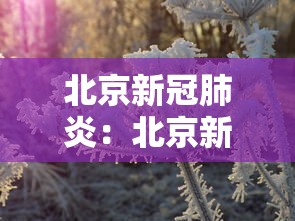 北京新冠肺炎:北京新冠肺炎确诊死亡率约19% 北京新冠肺炎:北京新冠肺炎确诊死亡率约19%