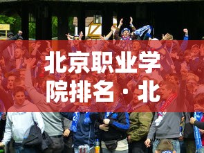 北京职业学院排名 · 北京职业学校排名前十有哪些学校