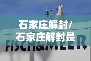 石家庄解封/石家庄解封是什么意思