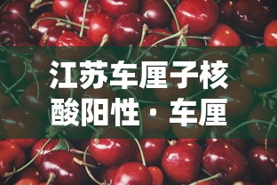 江苏车厘子核酸阳性 · 车厘子阳性只流入了江苏嘛