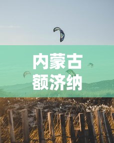 内蒙古额济纳旗所有人居家抗疫(内蒙古额济纳旗新冠最新通知)