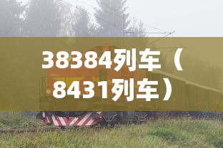 38384列车（8431列车）