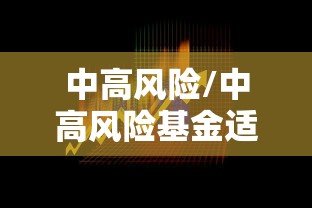 中高风险/中高风险基金适合持有多久