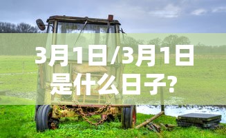 3月1日/3月1日是什么日子?