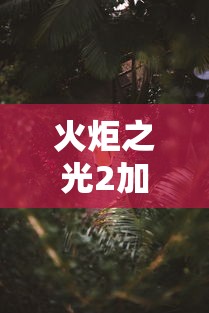 火炬之光2加点狂战士（火炬之光2 狂战士加点）