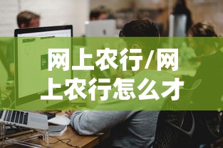 网上农行/网上农行怎么才能贷款
